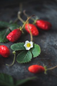 Strawberry Popsicles are simple, pretty looking and is bursting with flavours. These popsicles are very flavourful and the lemon gives that nice touch of tang.