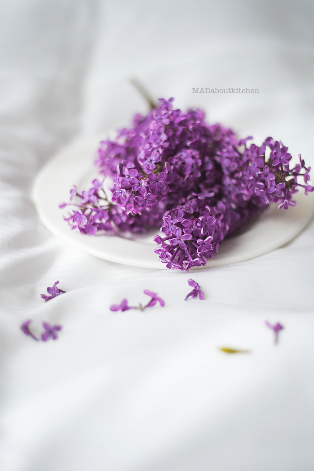 Homemade Lilac Sugar or Infused Sugar is a simple way to take a dish to a next level. Homemade Lilac Sugar is full of flavour and is  perfect for Baking and Tea. Lilac flowers are not only beautiful, but so so fragrant and so perfect for infusing.
